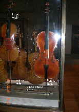 Ashm'n violins viola 2