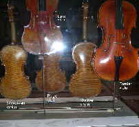Ashm'n violins viola 3