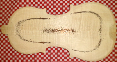 back plate Mode 5 smll