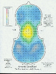 harrison_strad_back