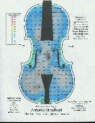 harrison_strad_belly